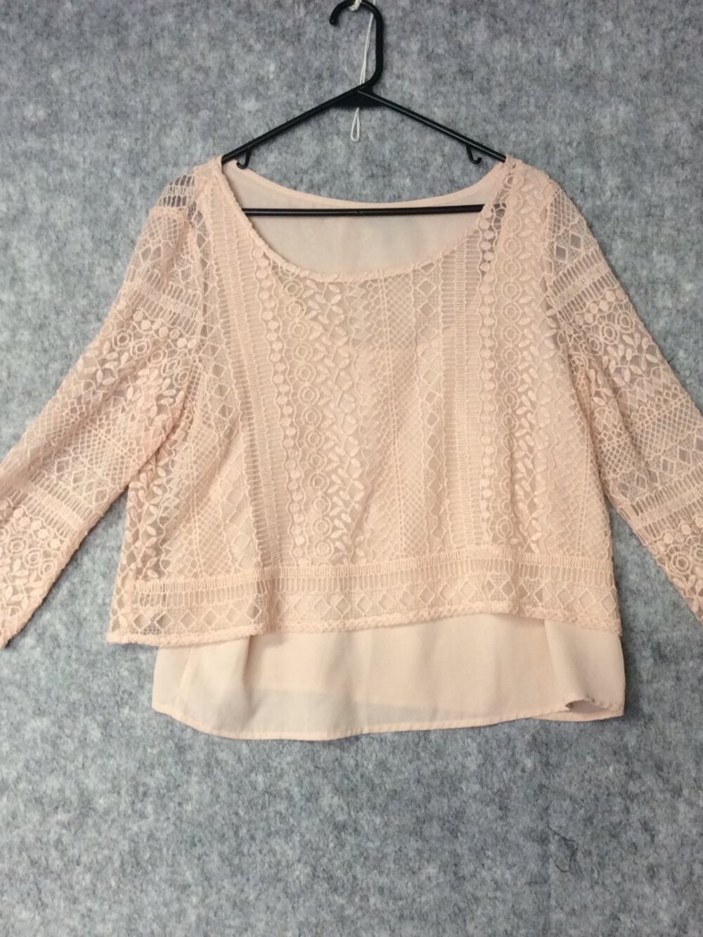 American Eagle Women's Peasant Blouse Dusty Pink Embroidered Cropped Button L